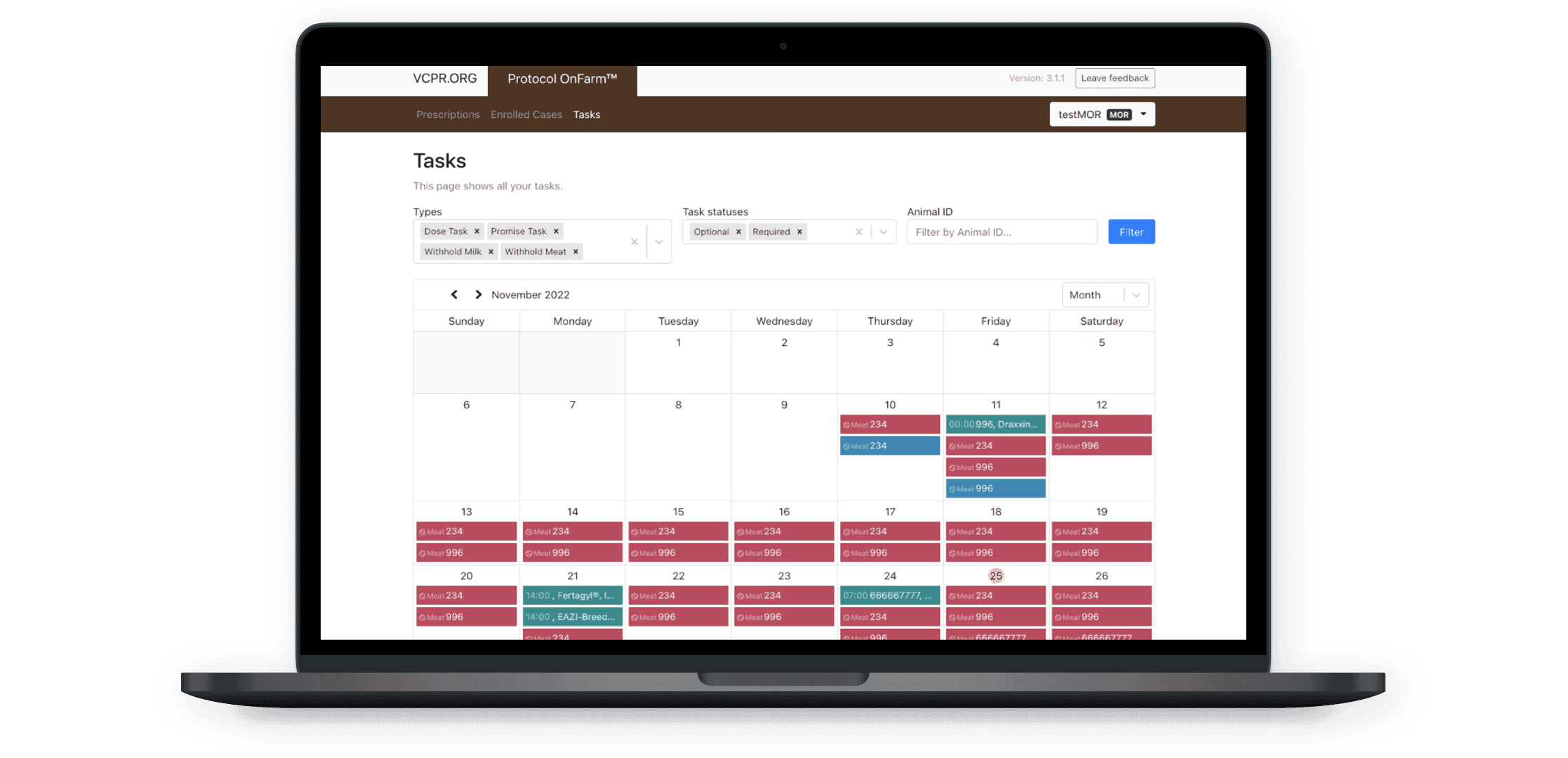 Plattform für Veterinärprotokolle: Frontend-Entwicklung