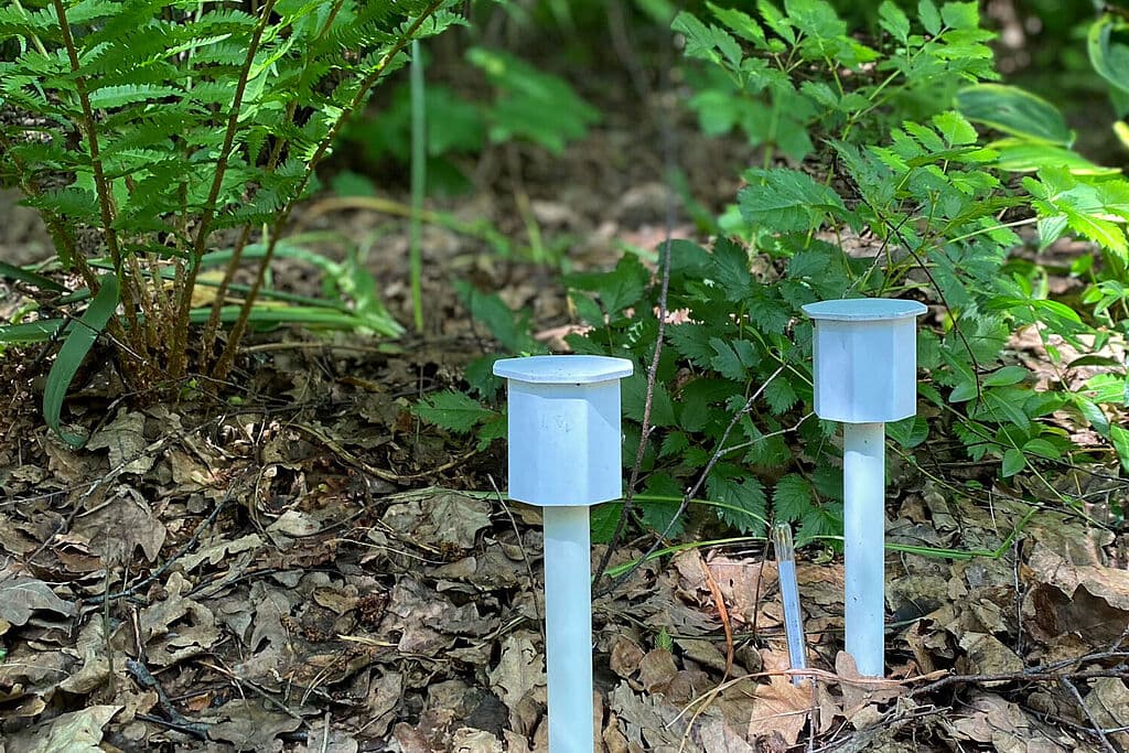 Chytré monitorování ekosystému: Environmentální přehledy poháněné IoT