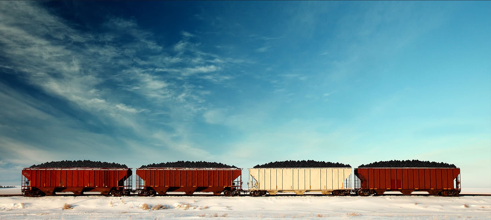 Effiziente Logistik: Aufbau des automatisierten ERP-Systems von Ridera